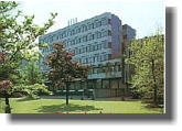 Foto vom Rathaus