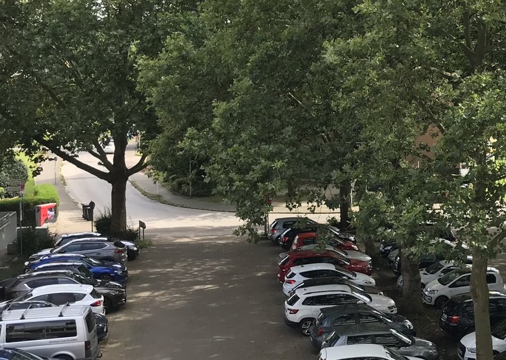 Link: Baumkontrolle: Rathausparkplatz am 9. und 10. September gesperrt