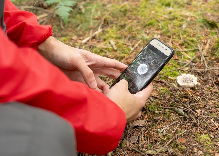 Link: Leichlinger BioBliz 2026 – jetzt mitmachen und Infos zur Leichlinger Artenvielfalt sammeln