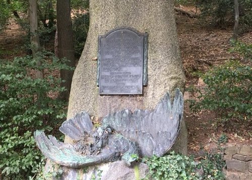 Link: Weiterführende Links