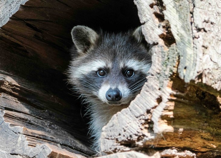 Neubürger*innen in Leichlingen