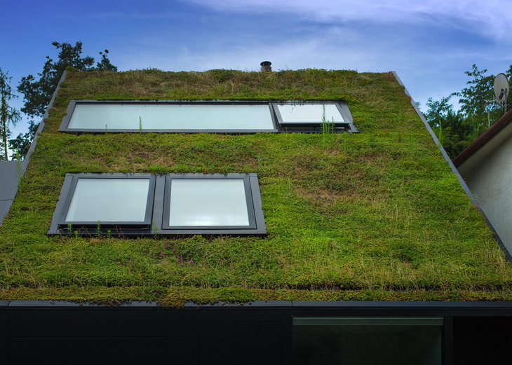 Link: Dienstag, 18. November: Online-Seminar „Dachbegrünung – Intelligenz auf hohem Niveau“