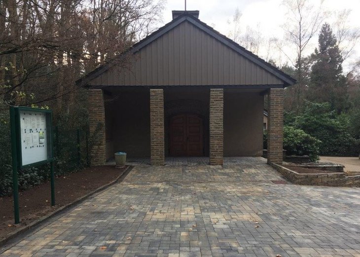 Link: Bauarbeiten Wupperareal: Fünf Sternmagnolien finden neues Zuhause