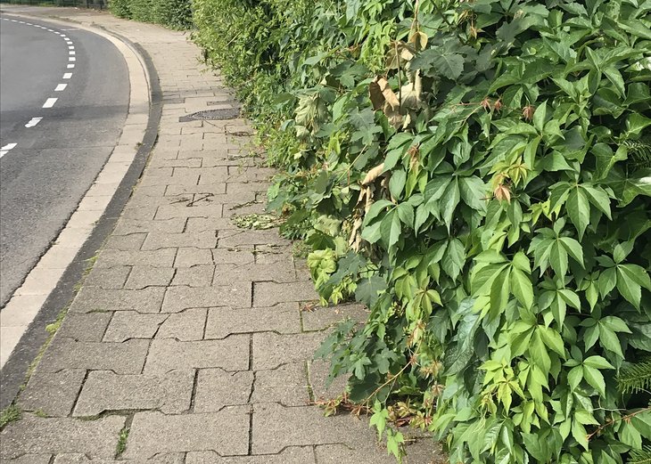 Link: Schnittpflicht von privatem Grün im öffentlichen Verkehrsraum