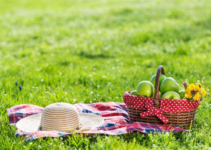 Link: Klima-Picknick am Langen Tisch im Neuen Stadtpark am 3. Juli