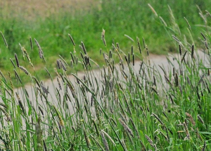 Link: „Weg zur Freude“ – geleiteter Spaziergang des Netzwerk Depressionen am 17.9.