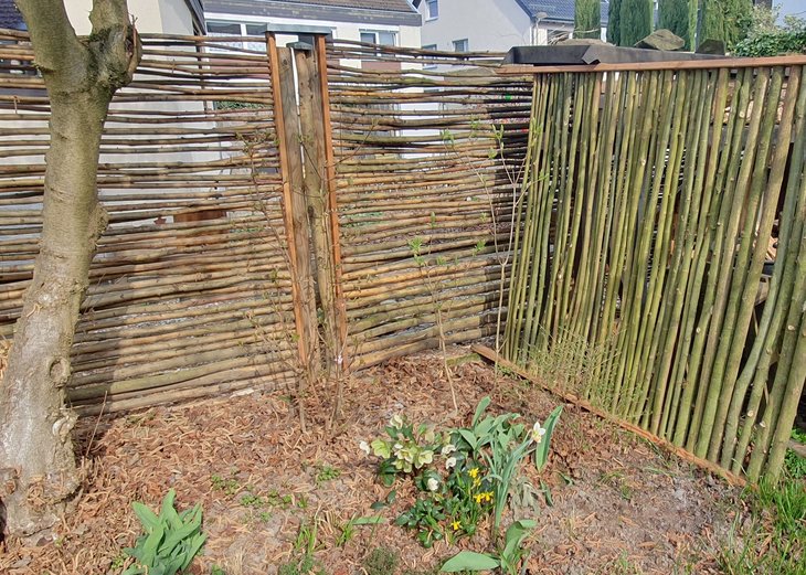 Nachhaltige Gartenzaunelemente aus Kopfweiden – Eine umweltfreundliche Alternative
