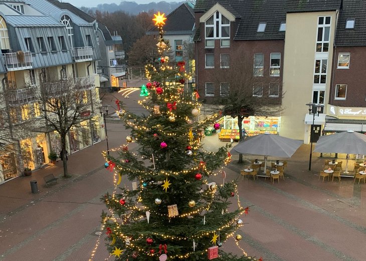 Link: Stattliche Weihnachtsbäume schmücken die Marktplätze