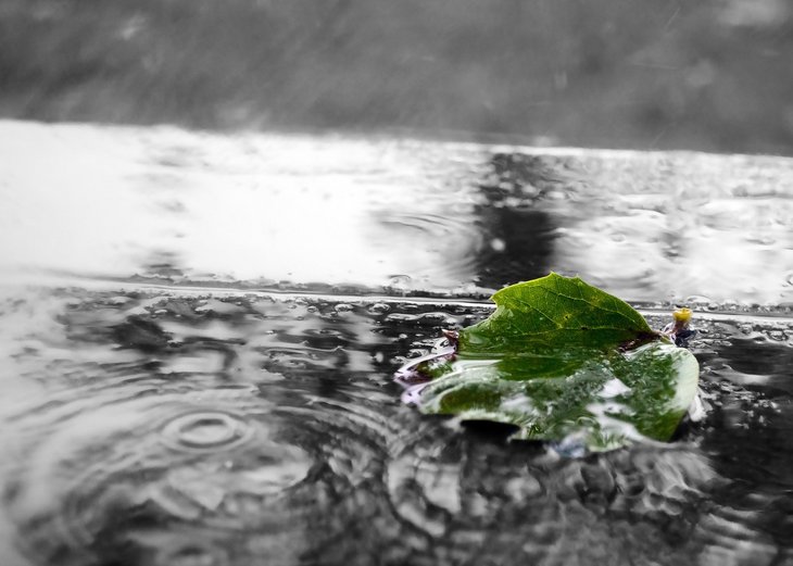 Link: Wasseraustritt Hangbereich Alte Holzer Straße – Fachgutachter bestätigt Unbedenklichkeit