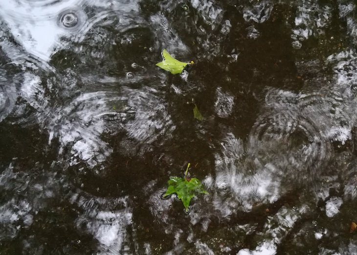 Link: Mittwoch, 4. Juni: Klima-Talk „Wasser sparen: nicht nur gut für den Geldbeutel“