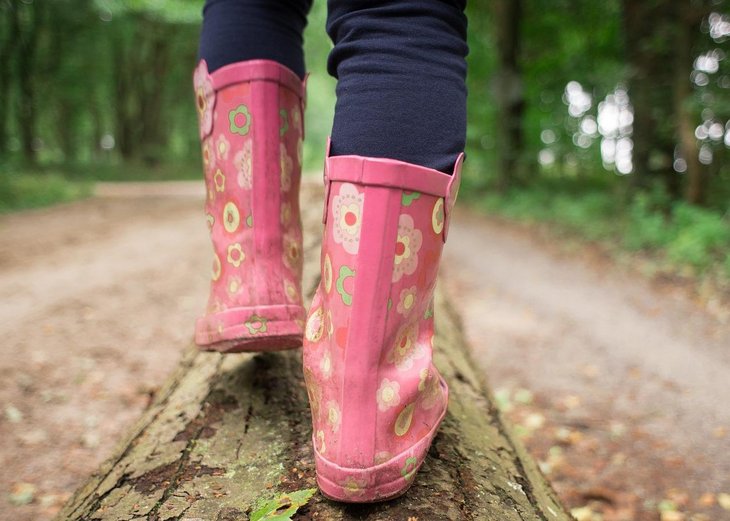 Link: Jetzt anmelden zum Sommerferienprogramm „Umwelt und Natur“ des Kinder- und Jugendzentrums