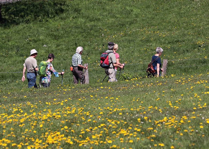 Link: SGV sucht wanderaffine Personen für Wanderwegmarkierung